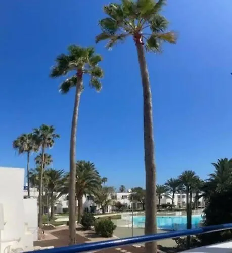 Little Diamond By Rentalfue