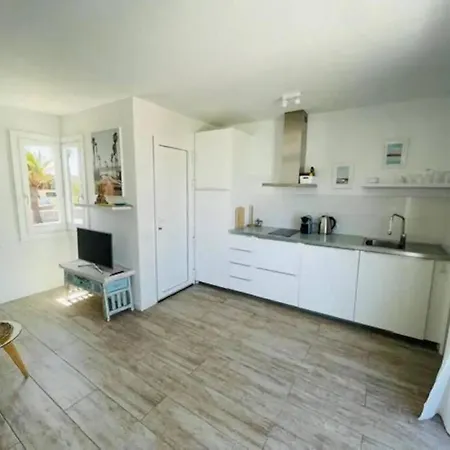 Little Diamond By Rentalfue *