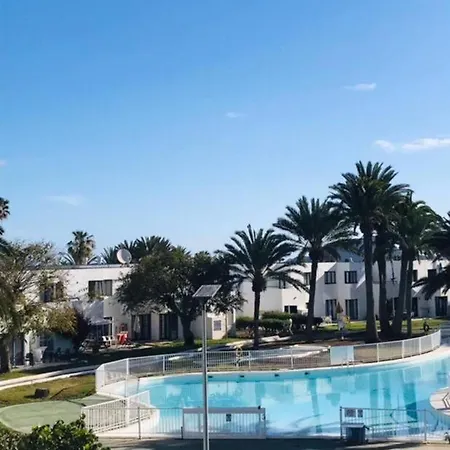 Little Diamond By Rentalfue