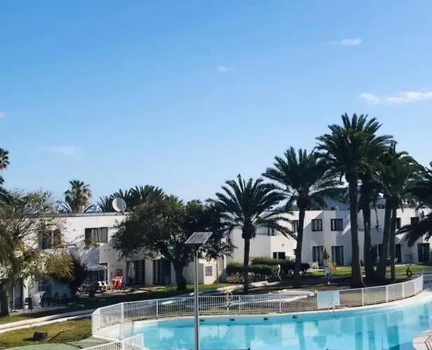 Little Diamond By Rentalfue